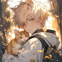 小龙