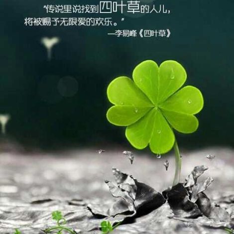 b_40b503390703b9688b97bf92ef2a8eb4 - 副本.jpg
